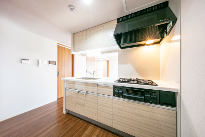 ピオネロ恵庭Ⅰ